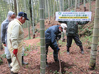 �^�P�m�R�@��̌�