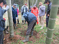 �^�P�m�R�@��w��