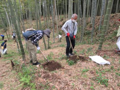 �^�P�m�R�@��̌�