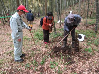 �^�P�m�R�@��̌�