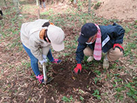 �^�P�m�R�@��̌�