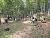 �^�P�m�R�@��̌�