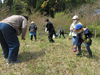 �R�؍̂�̌��i�����r�E�[���}�C�j