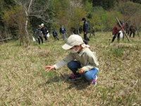 �R�؍̂�̌��i�����r�E�[���}�C�j