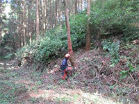 ���|���w�@10/14