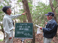 ���ؒ���