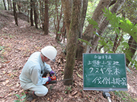 �N�k�M���|