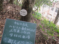 ���ؔŁ@�ݒu