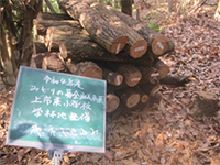 �V�C�^�P��ł��̌�