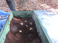 �J�u�g���V����