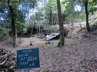 �w�L�ѐ���