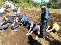 ���܂������n