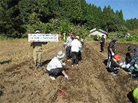 ���܂������n