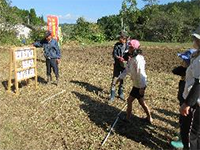 �X�g���b�N�A�E�g