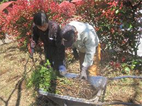 �n�c�@�̎�