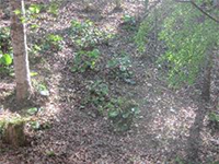 �c���u�L�A����