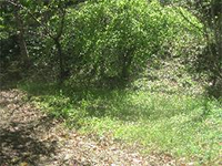 �c���u�L�A����