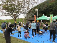 ���ڂ�����̋ʓ���