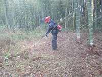 �������ƒ�