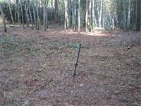 ������I����