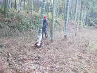 �������ƒ�