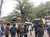 ���������_�Ё@���{��̑��