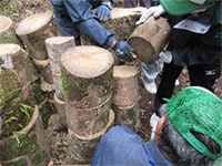 �q���^�P�@�ۏ��@�h��t��