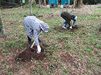 �^�P�m�R�@��̌�