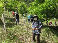 �R�؎��n�̌�