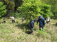 �R�؎��n�̌�