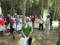 �^�P�m�R�@��̌�