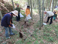 �^�P�m�R�@��̌�