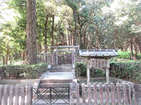 �a�Ӓ��@�����R��