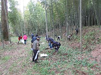 �^�P�m�R�x�̌�