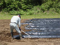 ���܂����A���t������