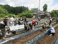 ���܂����A���t��