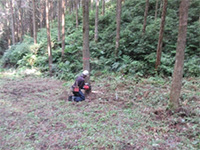 �����ؒ��w�Z�w�Z�тŐX�̘b���|���w