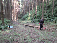 �����ؒ��w�Z�w�Z�тŐX�̘b���|���w