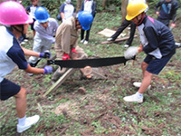 ����������ł̊ۑ��ؑ̌�