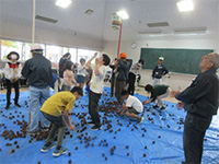 ���ڂ�����̋ʓ���