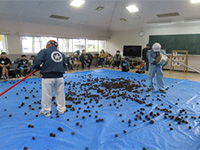 ���ڂ�����̋ʓ���