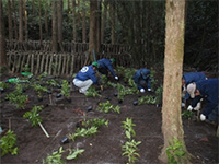 �Z�������E�A�́i��������̐X�j