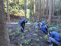 �Z�������E�A�́i��������̐X�j