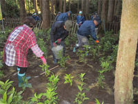 �Z�������E�A�́i��������̐X�j