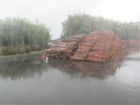 ���ܒ��o�C�I�}�X���d��