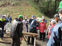 ����������ł��̌�