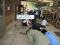 ����������ł��̌�