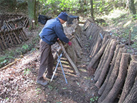 ����������ł��̌�