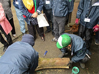 �^�P�m�R�@��̌�