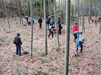  �����s�a�Ӓ� �^�P�m�R�x�̌�